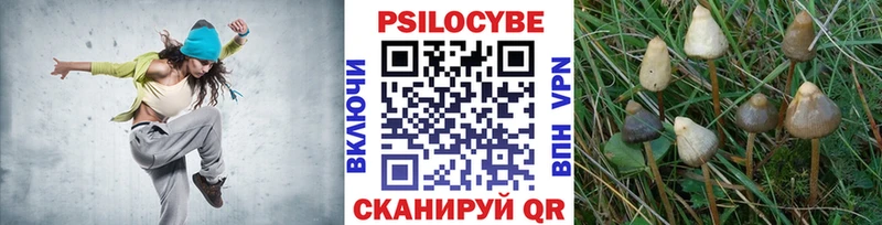 купить наркоту  Ковдор  Галлюциногенные грибы Cubensis 